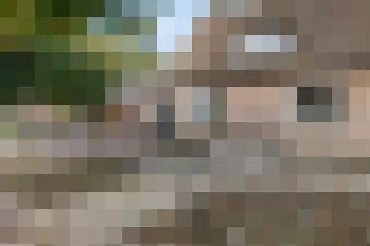 Ballast 44 Coevorden thumbnail 7