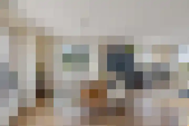 Ballast 44 Coevorden thumbnail 9