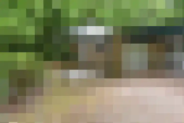 Ballastputweg 9 Epe thumbnail 10