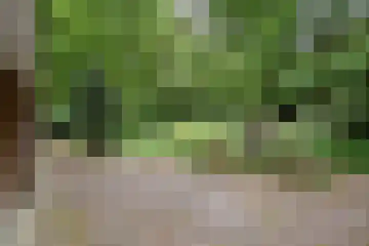 Ballastputweg 9 Epe thumbnail 11