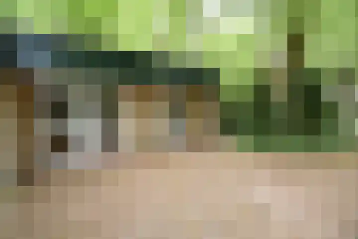 Ballastputweg 9 Epe thumbnail 12