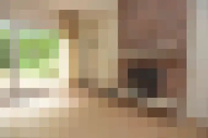 Ballastputweg 9 Epe thumbnail 19