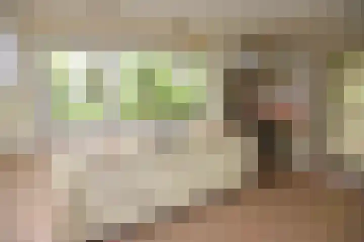 Ballastputweg 9 Epe thumbnail 22