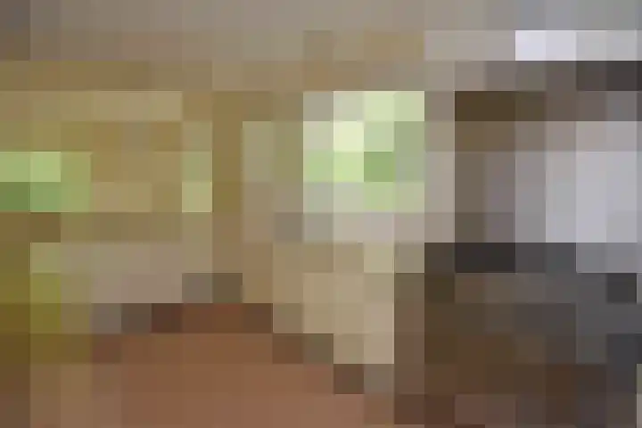 Ballastputweg 9 Epe thumbnail 24