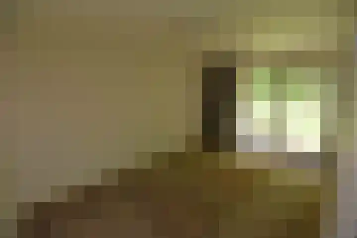 Ballastputweg 9 Epe thumbnail 32