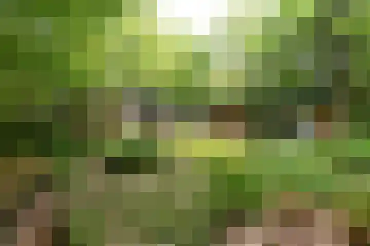 Ballastputweg 9 Epe thumbnail 4
