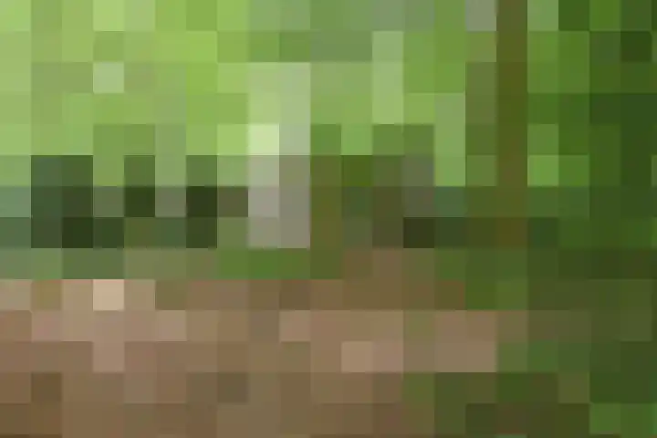 Ballastputweg 9 Epe thumbnail 5