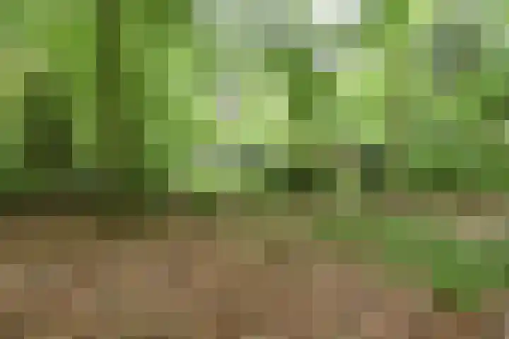 Ballastputweg 9 Epe thumbnail 6