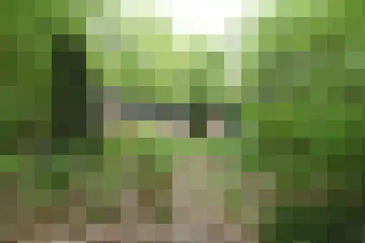 Ballastputweg 9 Epe thumbnail 7
