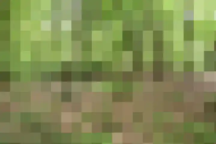 Ballastputweg 9 Epe thumbnail 8