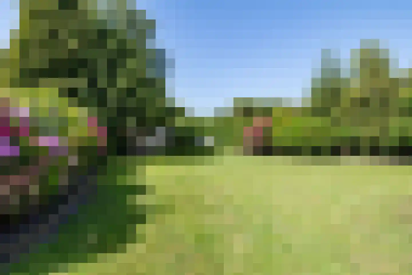 Ballastweg 48 Coevorden thumbnail 43