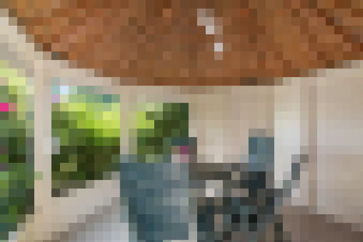 Ballastweg 48 Coevorden thumbnail 45