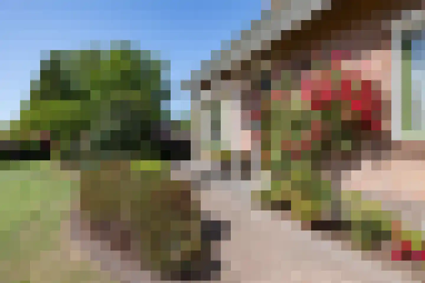 Ballastweg 48 Coevorden thumbnail 7