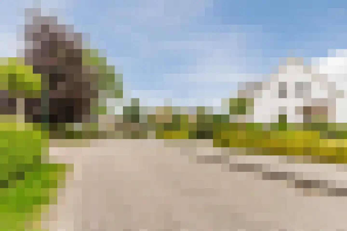 Balledonk 19 Heeswijk-Dinther thumbnail 62