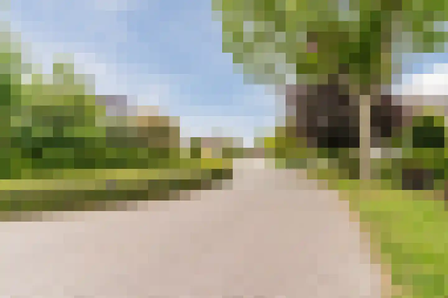 Balledonk 19 Heeswijk-Dinther thumbnail 63