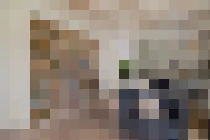 Ballerswal 13 Eeserveen thumbnail 12