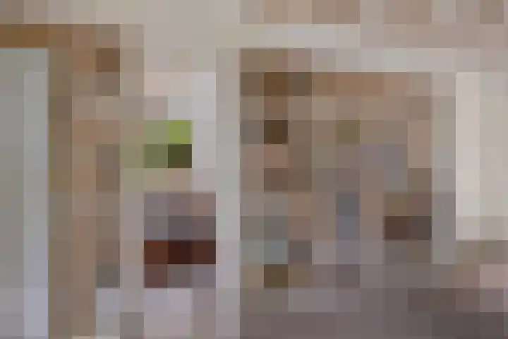 Ballerswal 13 Eeserveen thumbnail 13