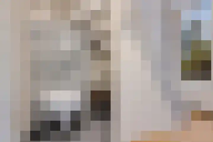 Ballerswal 13 Eeserveen thumbnail 19