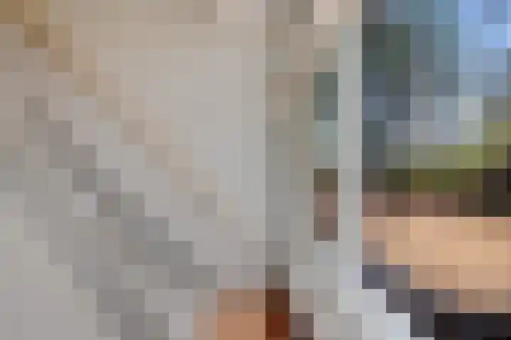 Ballerswal 13 Eeserveen thumbnail 20