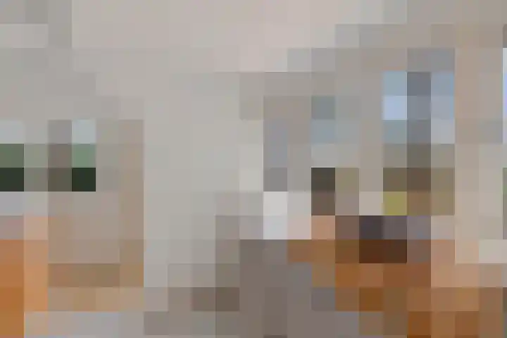 Ballerswal 13 Eeserveen thumbnail 22