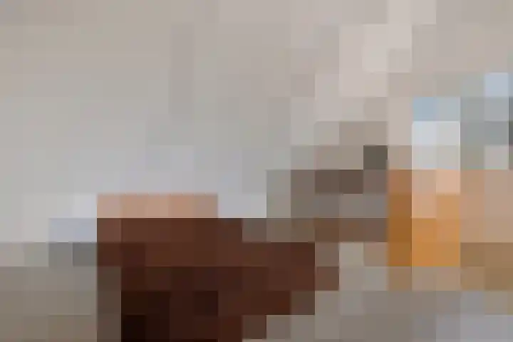 Ballerswal 13 Eeserveen thumbnail 23