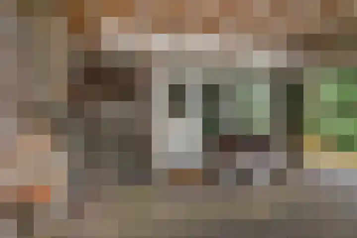 Ballerswal 13 Eeserveen thumbnail 26