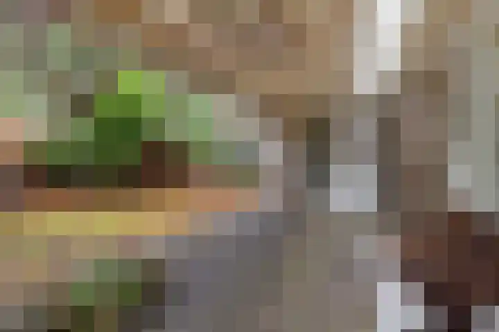Ballerswal 13 Eeserveen thumbnail 27
