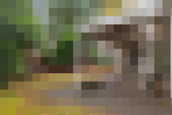Ballerswal 13 Eeserveen thumbnail 28