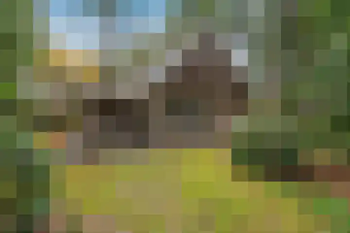 Ballerswal 13 Eeserveen thumbnail 30