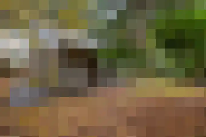 Ballerswal 13 Eeserveen thumbnail 31