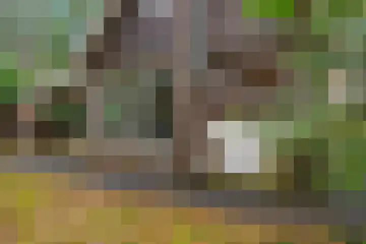 Ballerswal 13 Eeserveen thumbnail 32