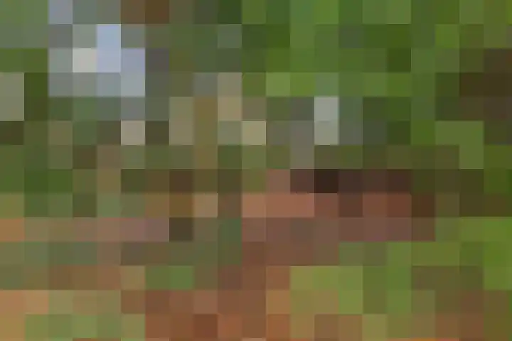Ballerswal 13 Eeserveen thumbnail 33