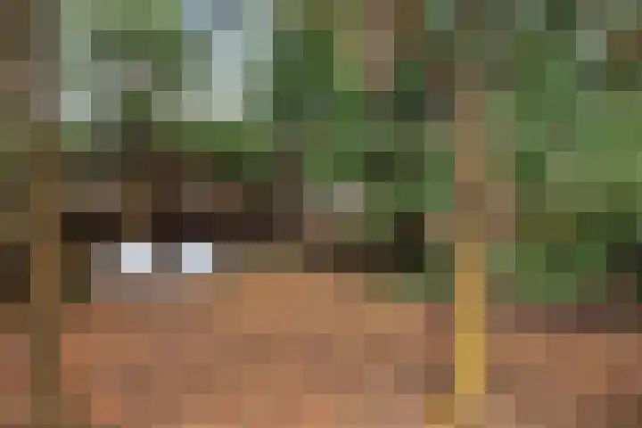Ballerswal 13 Eeserveen thumbnail 34