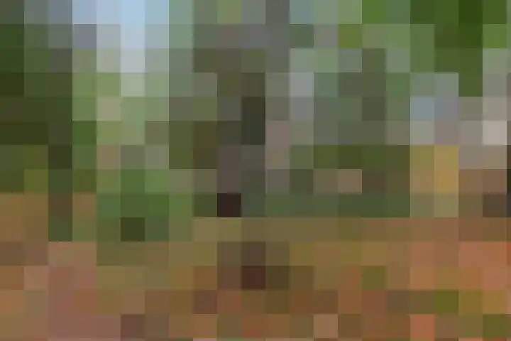 Ballerswal 13 Eeserveen thumbnail 35