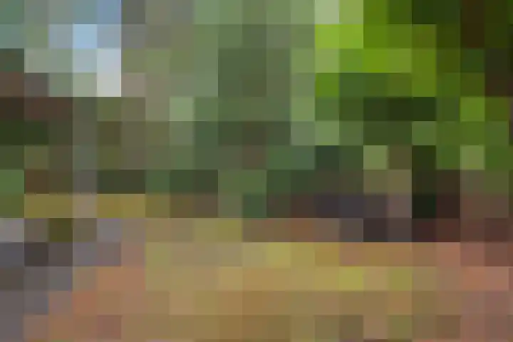 Ballerswal 13 Eeserveen thumbnail 36