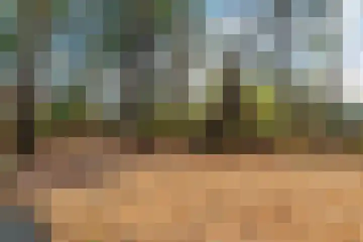 Ballerswal 13 Eeserveen thumbnail 37