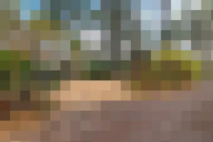 Ballerswal 13 Eeserveen thumbnail 38