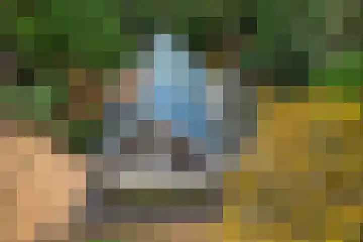 Ballerswal 13 Eeserveen thumbnail 39