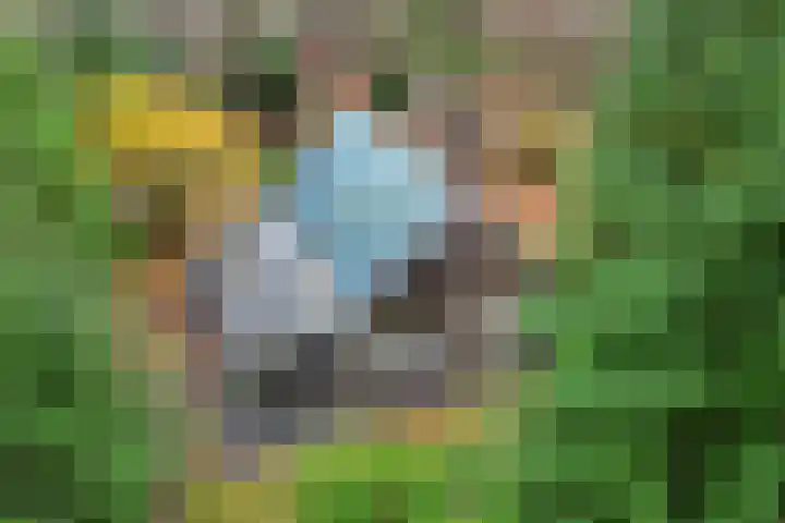 Ballerswal 13 Eeserveen thumbnail 4