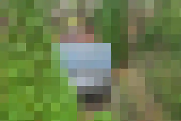 Ballerswal 13 Eeserveen thumbnail 41