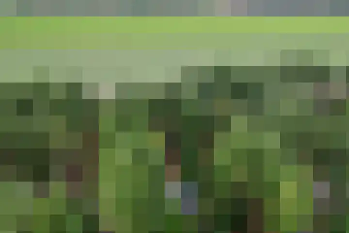 Ballerswal 13 Eeserveen thumbnail 43
