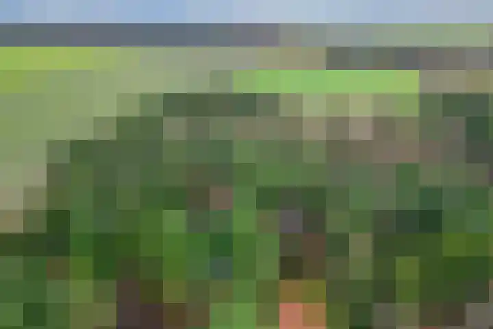 Ballerswal 13 Eeserveen thumbnail 44