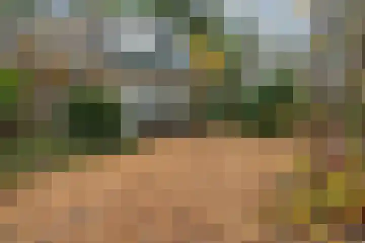 Ballerswal 13 Eeserveen thumbnail 5
