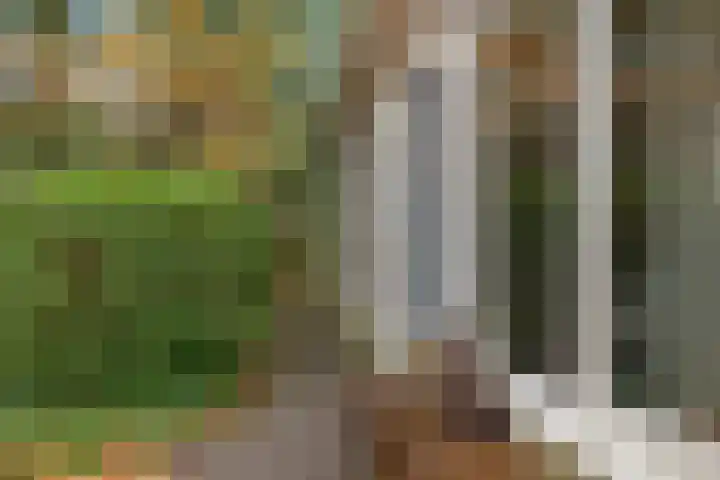 Ballerswal 13 Eeserveen thumbnail 6
