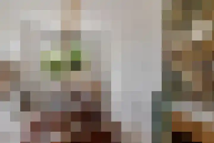 Ballerswal 13 Eeserveen thumbnail 8