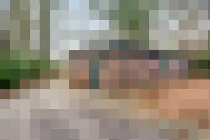 Ballerswal 24 Eeserveen thumbnail 10