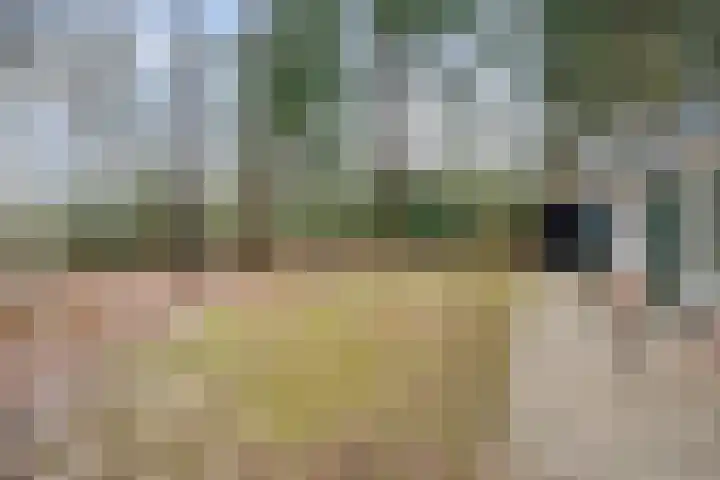 Ballerswal 24 Eeserveen thumbnail 26