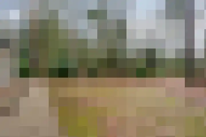Ballerswal 24 Eeserveen thumbnail 27
