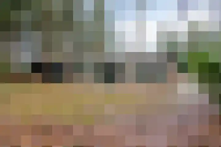 Ballerswal 24 Eeserveen thumbnail 29
