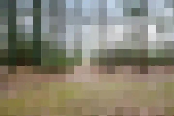 Ballerswal 24 Eeserveen thumbnail 30